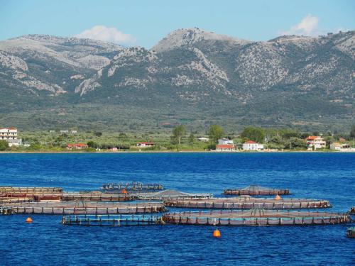 Les filets de pêche grec circulaires
