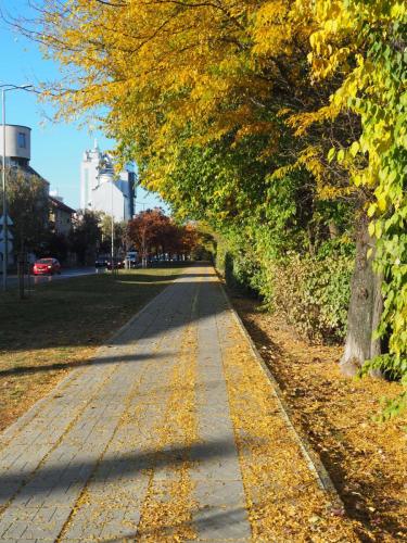 Piste cyclable bulgare