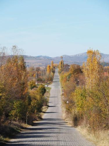 Magnifique couleur d'automne, route agréable, soleil chauffant, quel plaisir de pédaler de nouveau
