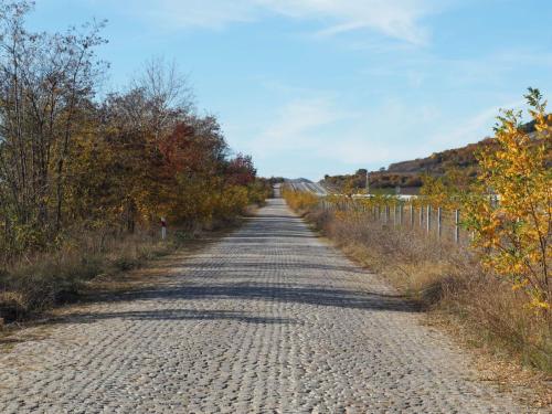 Route en pavée sous l'automne, c'est sympa au début
