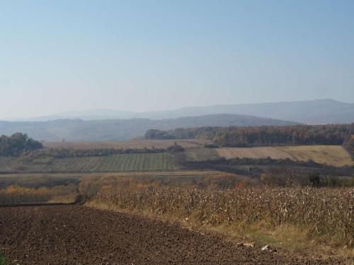 La campagne serbe