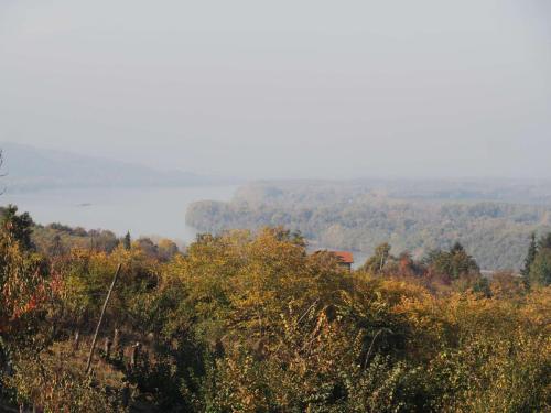 Le Danube !