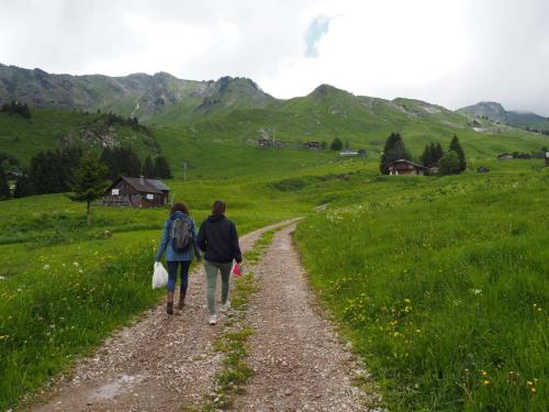 Cueillette de fleurs sauvages au Praz-de-Lys