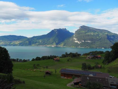 Vue sur le lac de Thunersee depuis la maison de Claudia et Martin! Splendide ! 