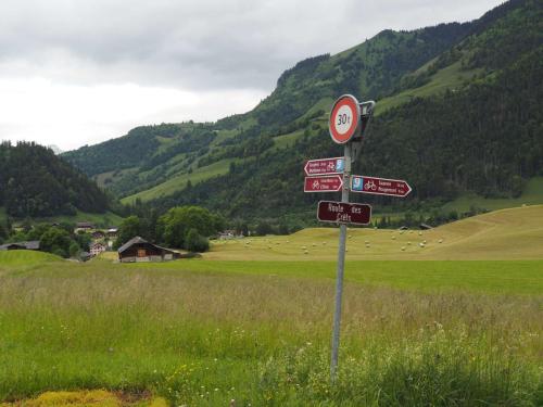 Ultra bien indiqué les chemins en Suisse, même pas besoin du GPS, juste à suivre les panneaux n°9