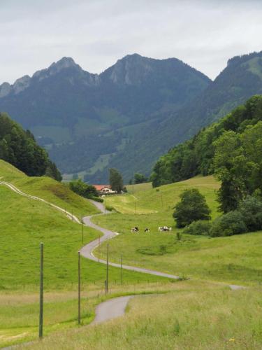 Malgré la pluie, je suis émerveillée par les routes et les paysages ! 