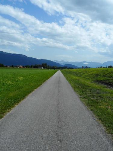 Les longues pistes cyclables au bord du Rhin (que l'on ne voit pas) mais avec les montagnes au loin !