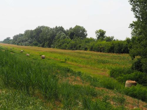Moi qui pensais voir la rivière, et bien non je ne vois que des ballots de paille et la forêt. Mais je suis toute seule dans cet endroit calme, c'est agréable 