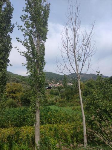 Le village de la famille de Cansu, Dereören, de loin