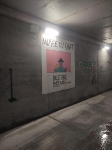 Je profite des peintures qui sont peintes tout le long du tunnel, enfin du moins au début, après je suis allée trop vite ..